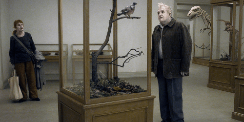 Una paloma se posó en una rama a reflexionar sobre la existencia